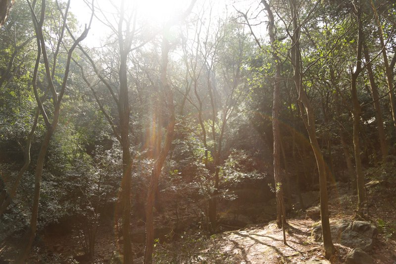 Yu Mountain (4)