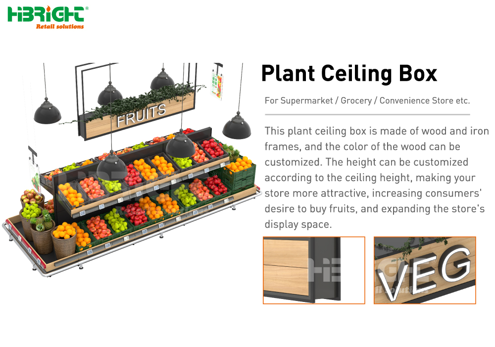 Boîte de plafond de plante1