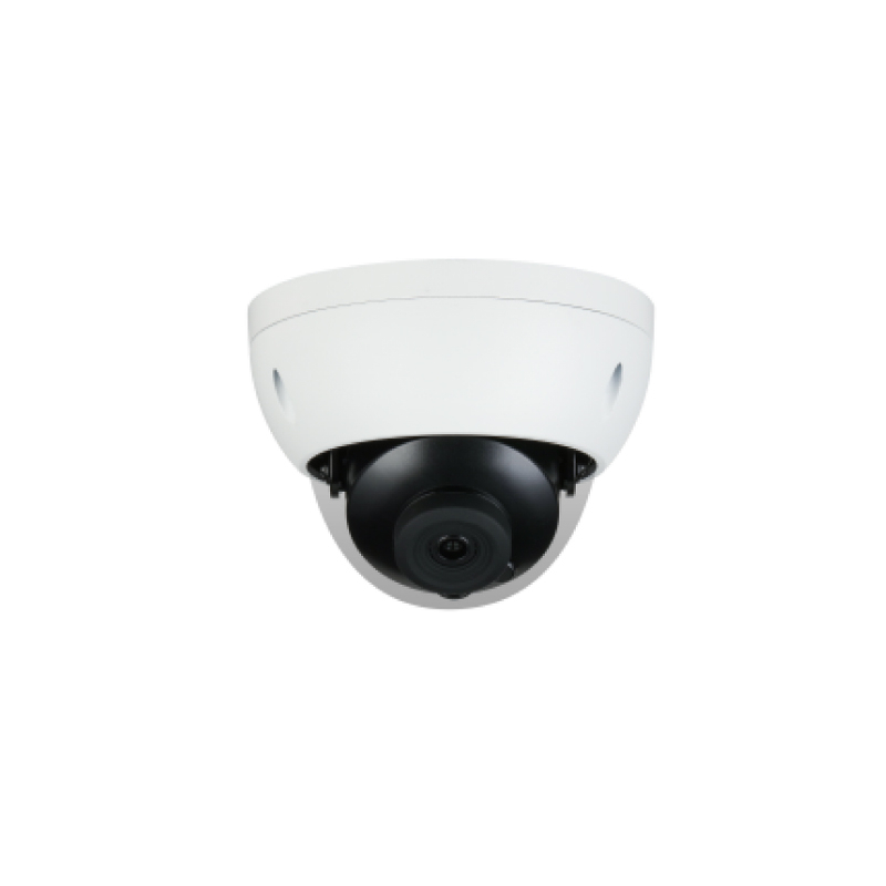 2MP Camera de réseau de l'hémisphère Riot Intelligent 2MP Camerie de l'hémisphère