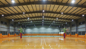 应用 _0002_indoor satdium01